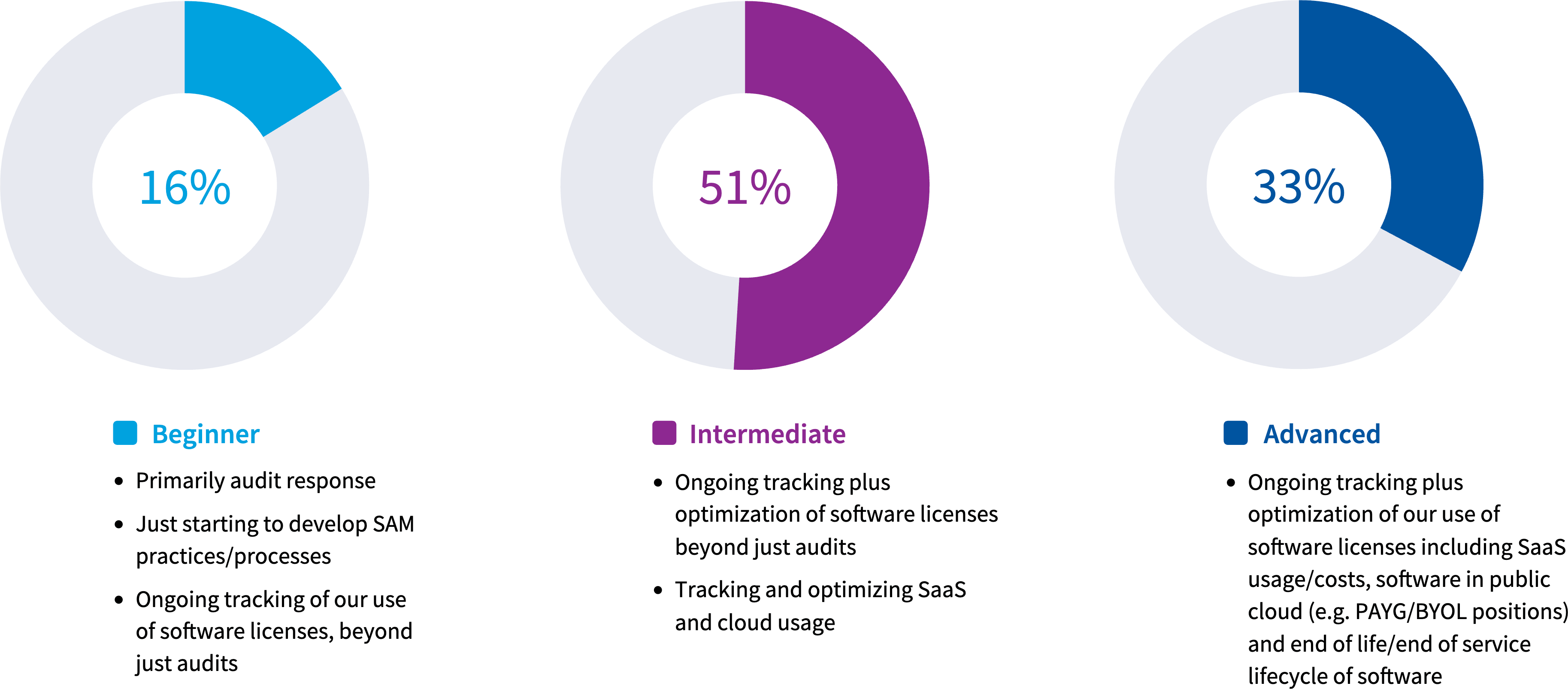 Chart: Which statement best describes where you are in implementing SAM in your organization?