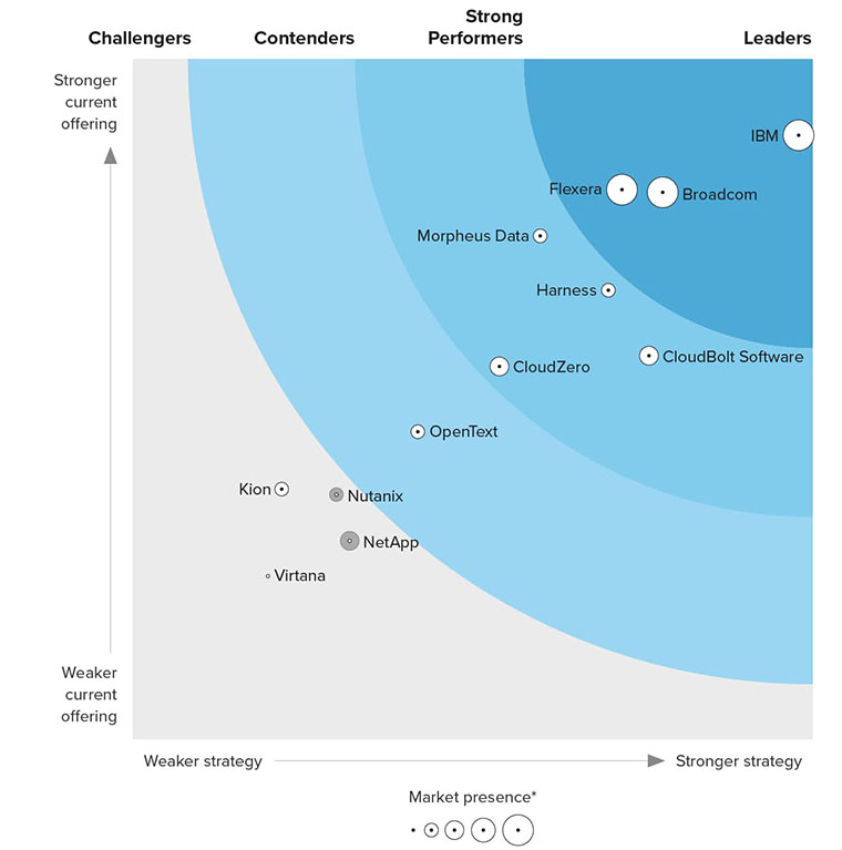 The Forrester Wave™: Cloud Cost Management and Optimization, Q3 2024 Source