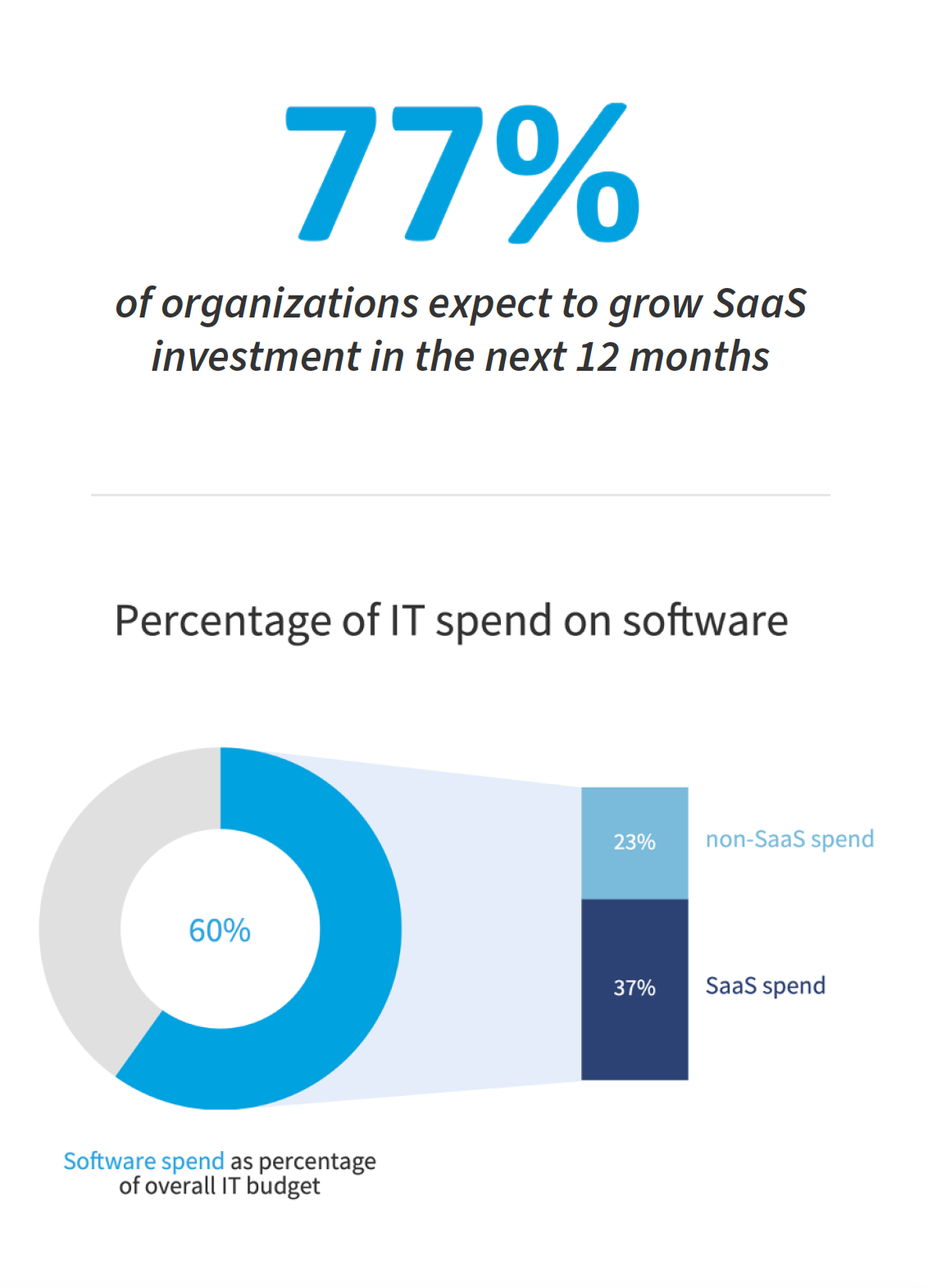 Percentage of IT spend on software