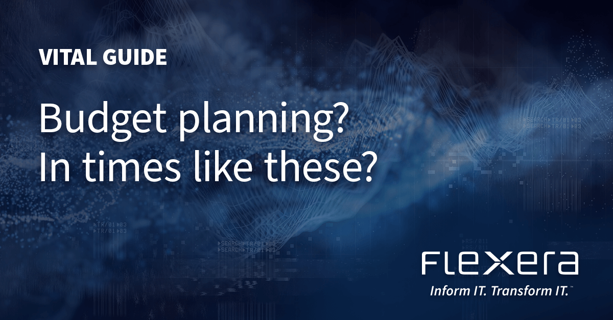 Flx1 It Budget Planning Guide 