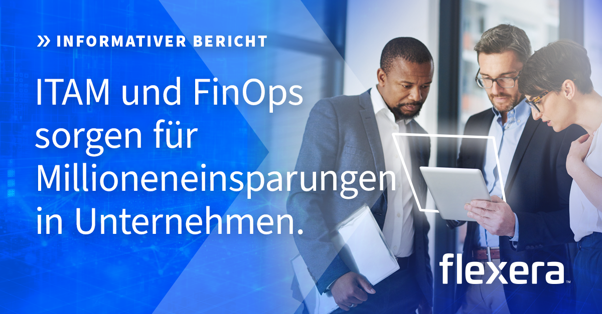 Wer verwendet ITAM? State of ITAM Report 2023 von Flexera