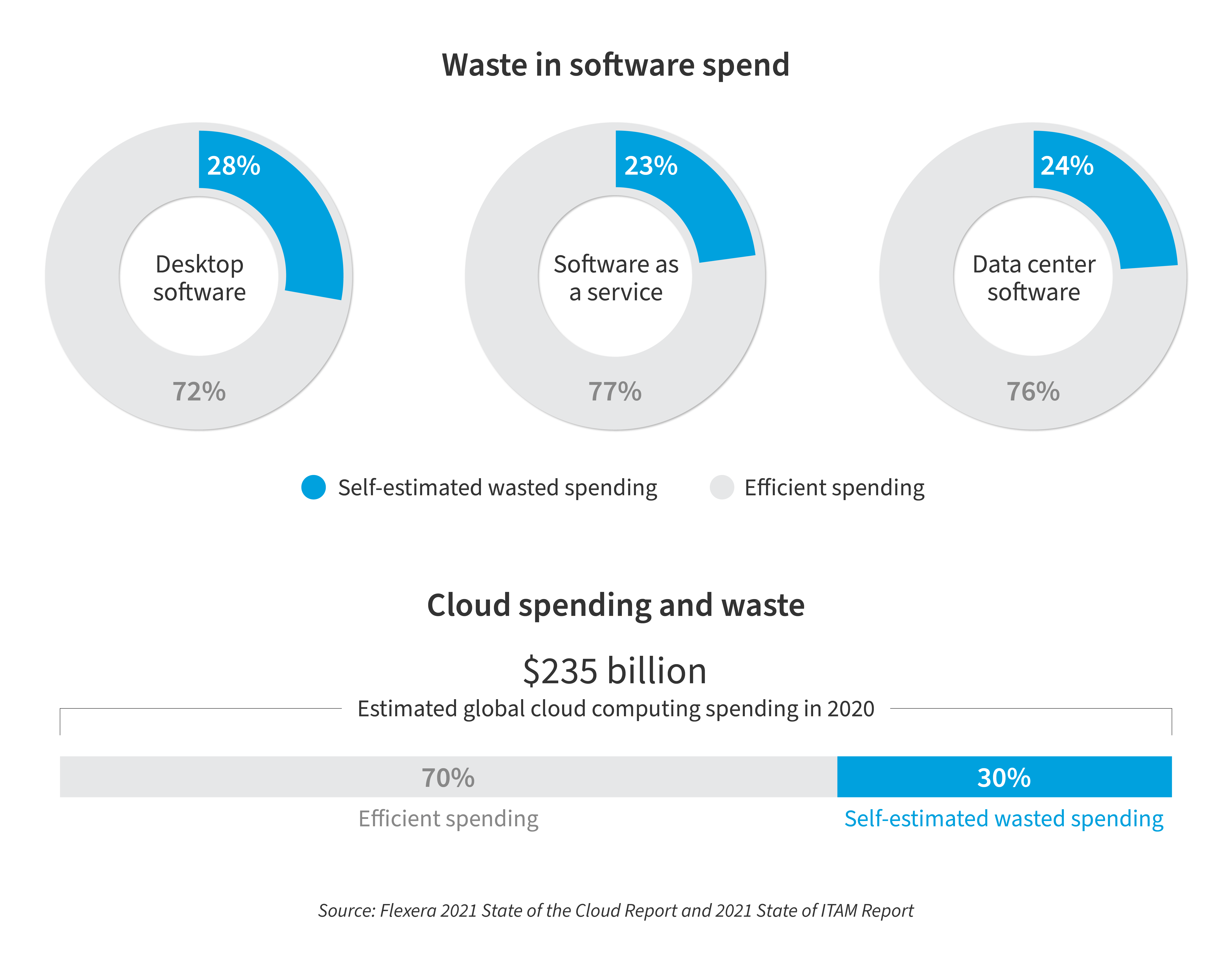 Waste in Software Spending