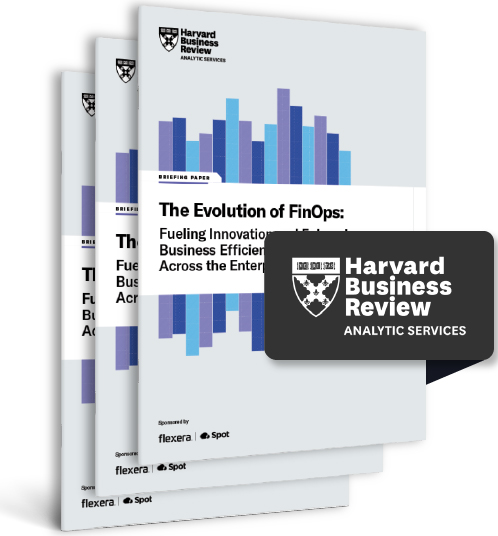 Discover how to gain control over cloud costs and maximize your cloud investments.